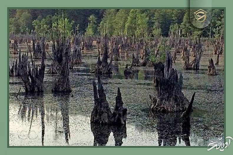 راز‌هایی از مخوف‌ترین مکان‌های ایران که سفر به آن‌ها دل و جرات می‌خواهد؛ از جهنم دره تا تالاب مرموز ارواح + تصاویر